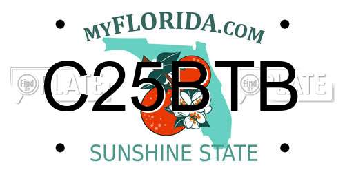 C25BTB Florida License Plate