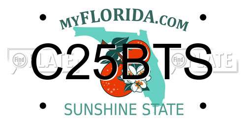 C25BTS Florida License Plate