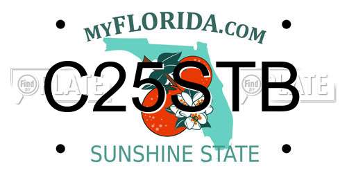 C25STB Florida License Plate