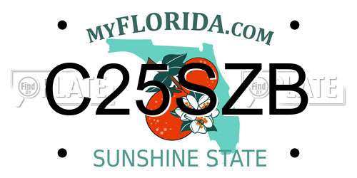 C25SZB Florida License Plate