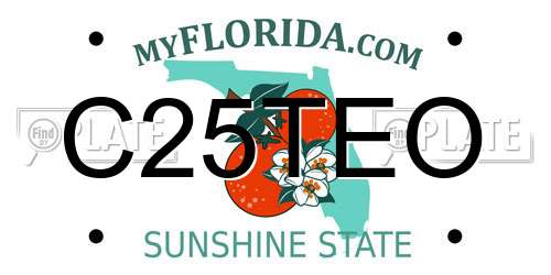 C25TEO Florida License Plate