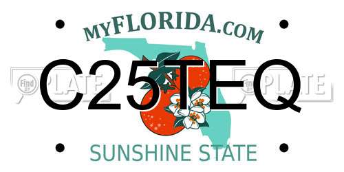 C25TEQ Florida License Plate