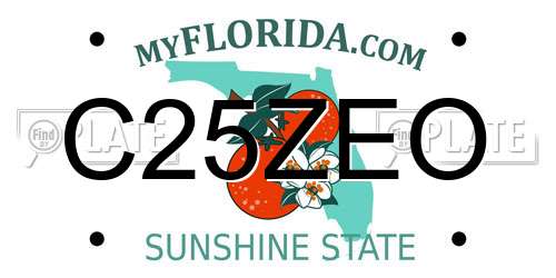 C25ZEO Florida License Plate