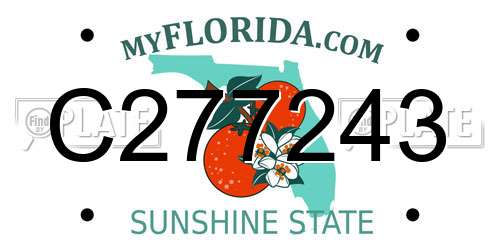 C277243 Florida License Plate