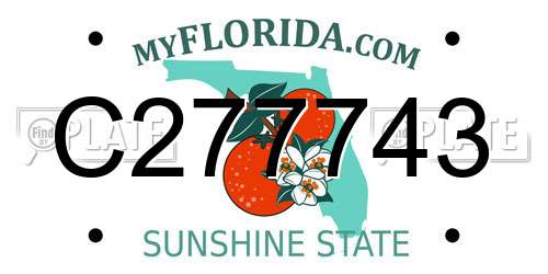C277743 Florida License Plate