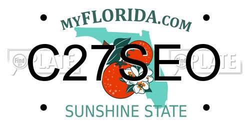 C27SEO Florida License Plate
