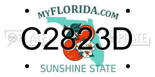 C2823D Florida License Plate