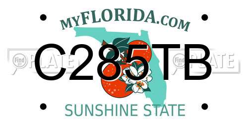 C285TB Florida License Plate