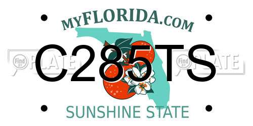 C285TS Florida License Plate