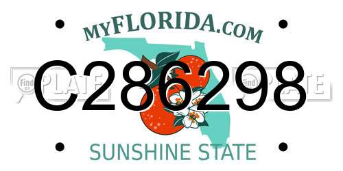 C286298 Florida License Plate