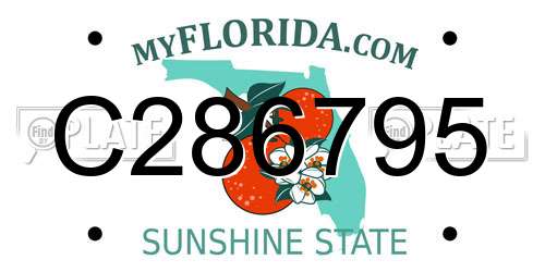 C286795 Florida License Plate
