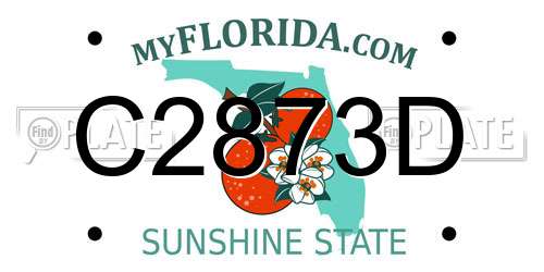 C2873D Florida License Plate