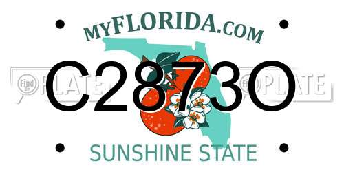 C2873O Florida License Plate