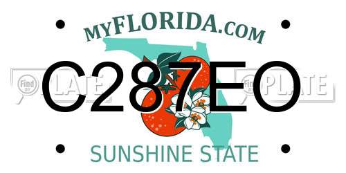 C287EO Florida License Plate