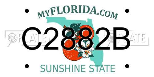 C2882B Florida License Plate