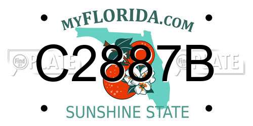 C2887B Florida License Plate