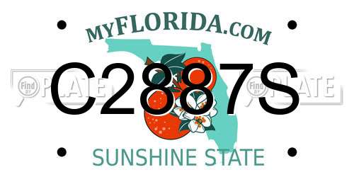 C2887S Florida License Plate