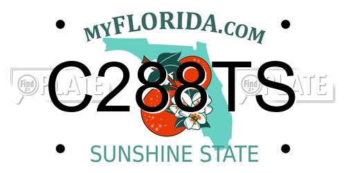 C288TS Florida License Plate