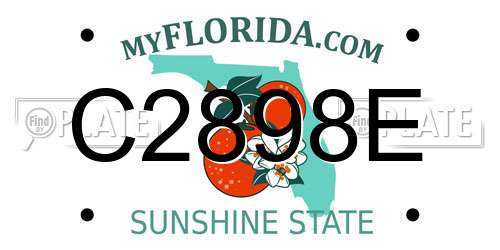 C2898E Florida License Plate