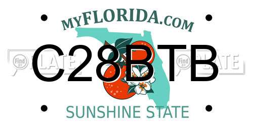 C28BTB Florida License Plate