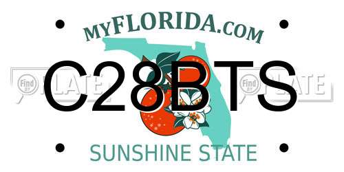 C28BTS Florida License Plate