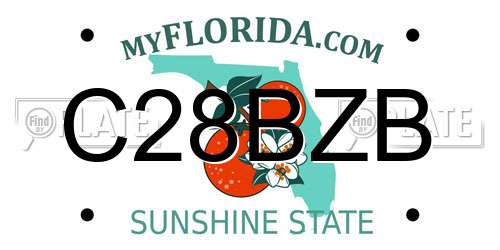 C28BZB Florida License Plate