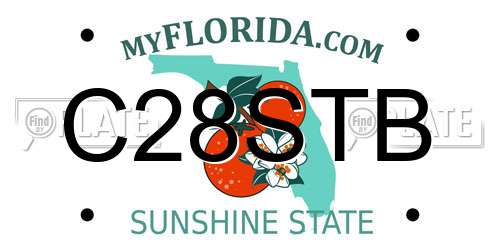 C28STB Florida License Plate