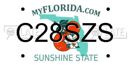 C28SZS Florida License Plate
