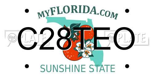 C28TEO Florida License Plate