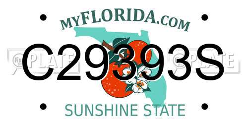 C29393S Florida License Plate