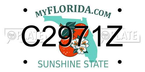 C2971Z Florida License Plate