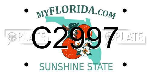 C2997 Florida License Plate