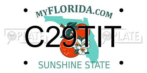 C29TIT Florida License Plate