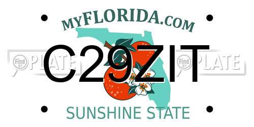 C29ZIT Florida License Plate