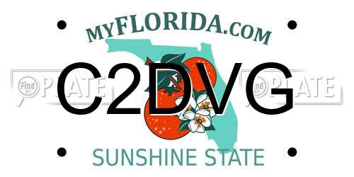 C2DVG Florida License Plate