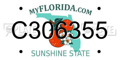 C306355 Florida License Plate