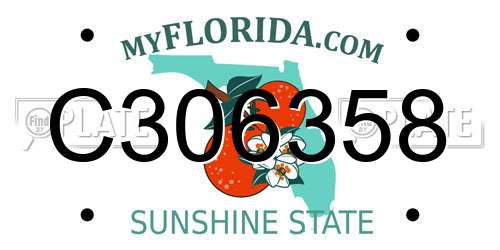 C306358 Florida License Plate