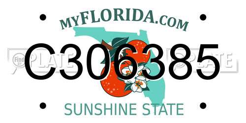 C306385 Florida License Plate