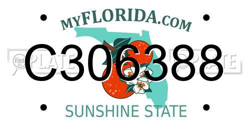 C306388 Florida License Plate