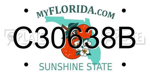 C30638B Florida License Plate