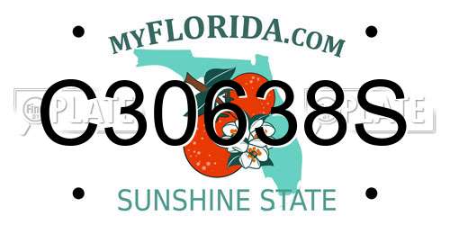 C30638S Florida License Plate