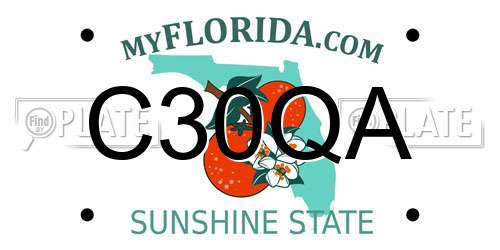 C30QA Florida License Plate
