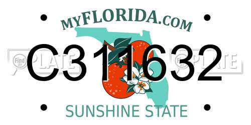 C311632 Florida License Plate