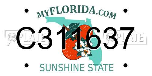 C311637 Florida License Plate
