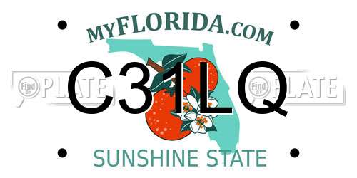 C31LQ Florida License Plate