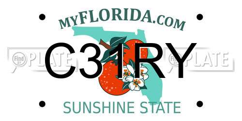 C31RY Florida License Plate