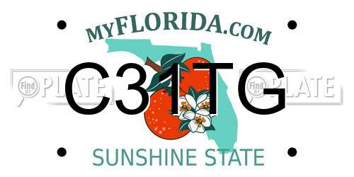 C31TG Florida License Plate