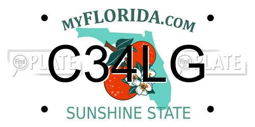 C34LG Florida License Plate