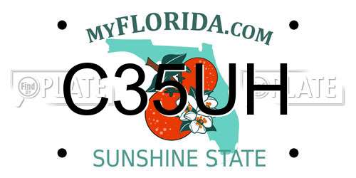 C35UH Florida License Plate