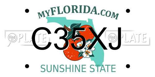 C35XJ Florida License Plate
